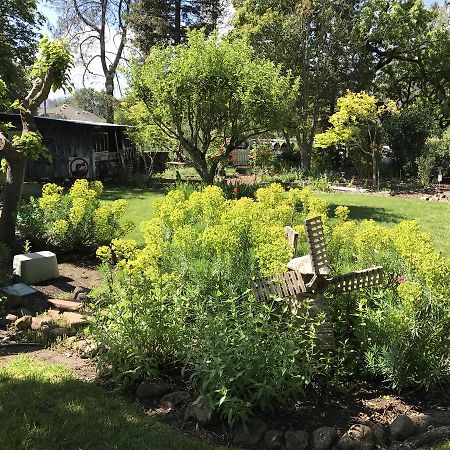 Trailside Inn Bed And Breakfast Calistoga Exterior photo